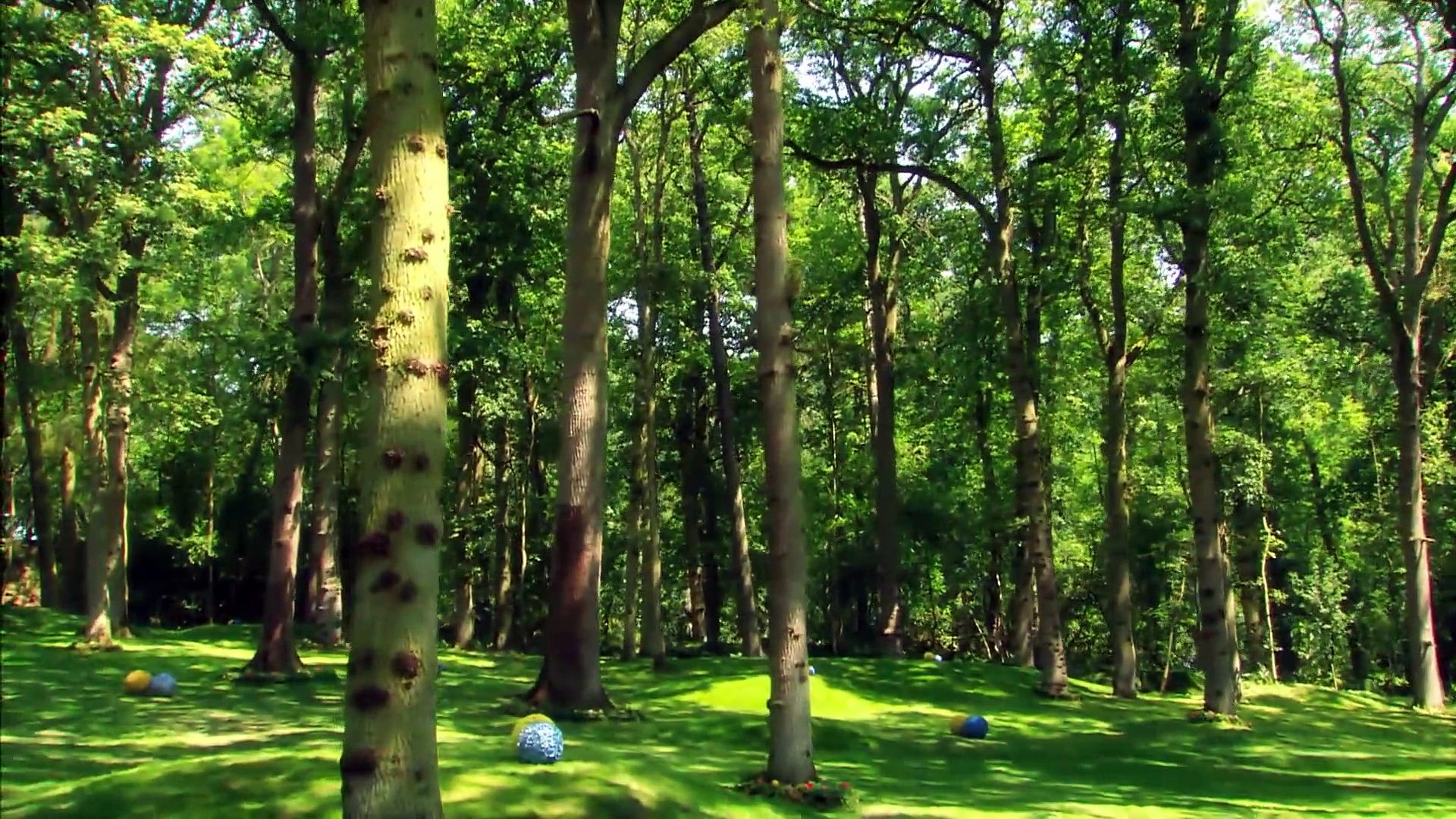 makka pakka og pog toy