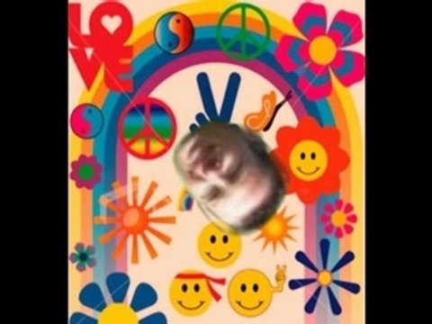 Hallucino bach ( hein hein mike t'as compris ? )