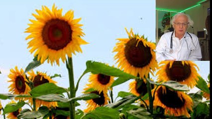 471 MEDICAMENT ET DECADANCE DANS L ABANDONCE COMPRENDRE POUR GUERIR