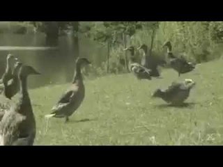 Micheal Jackson Beat it