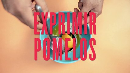 Helado de Cítricos y Maracuyá