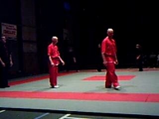 kung fu wushu