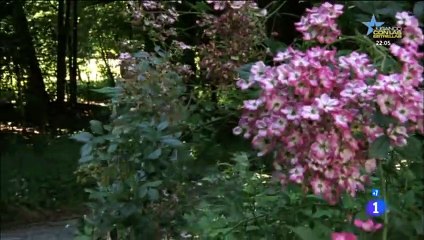 Un amor con obstáculos Drama romántico Pelicula Alemania 2011 - Part 02