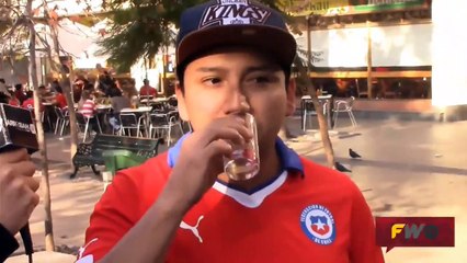 Chile, Perú y el pisco - Arroban 2 años
