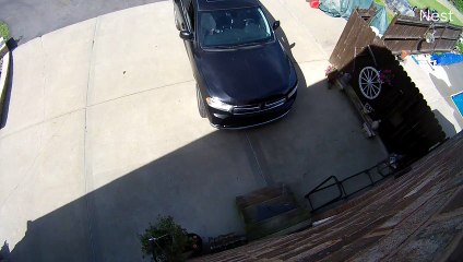 Super Dad Catches Flying Table Umbrella