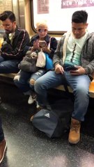 Cool Dog Rides the Train