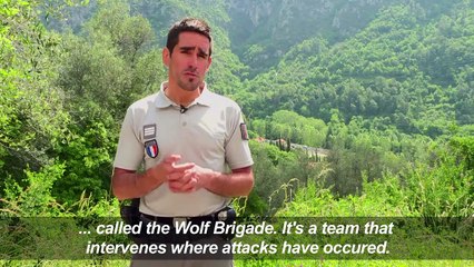 On patrol in the Alps with France's "wolf brigade"