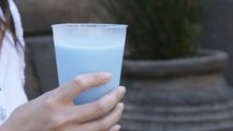 People Are Obsessed With The Instantly Iconic Blue Milk From Disney's 'Star Wars: Galaxy's Edge'