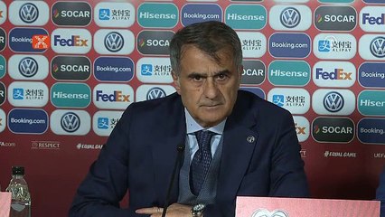 Şenol Güneş: "Fransa'yı değil, İzlanda'yı yenseydik"