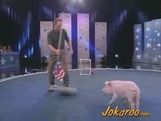 Un cochon dressé comme un chien