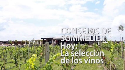 Consejos de Sommelier 3 Seleccion de Vinos