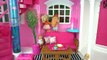 Bebes de Elsa y Anna Cuidan a la Gatita Traviesa de Barbie - Gatita Pis Pis Juguetes de Titi