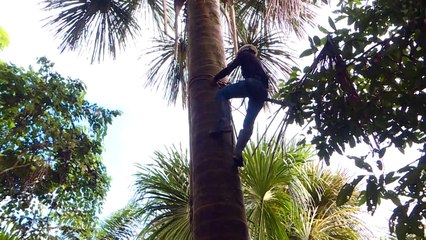 Perú quiere reforzar la protección de sus bosques en la Amazonía