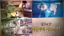 극한직업 - Extreme JOB_발효의 맛? 하몬부터 치즈까지_#001