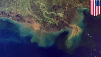 Gulf of Mexico's 'dead zone' may be largest in history