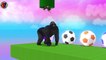 Learn Animals Names And Shapes Names For Kids ## || monkey crossing coins game for toddlers