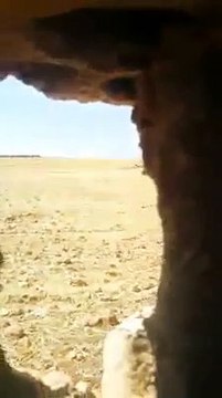 شاهد حرق عناصر ميليشيا قسد لمحاصيل زراعية بريف الرقة! (فيديو مسرب)