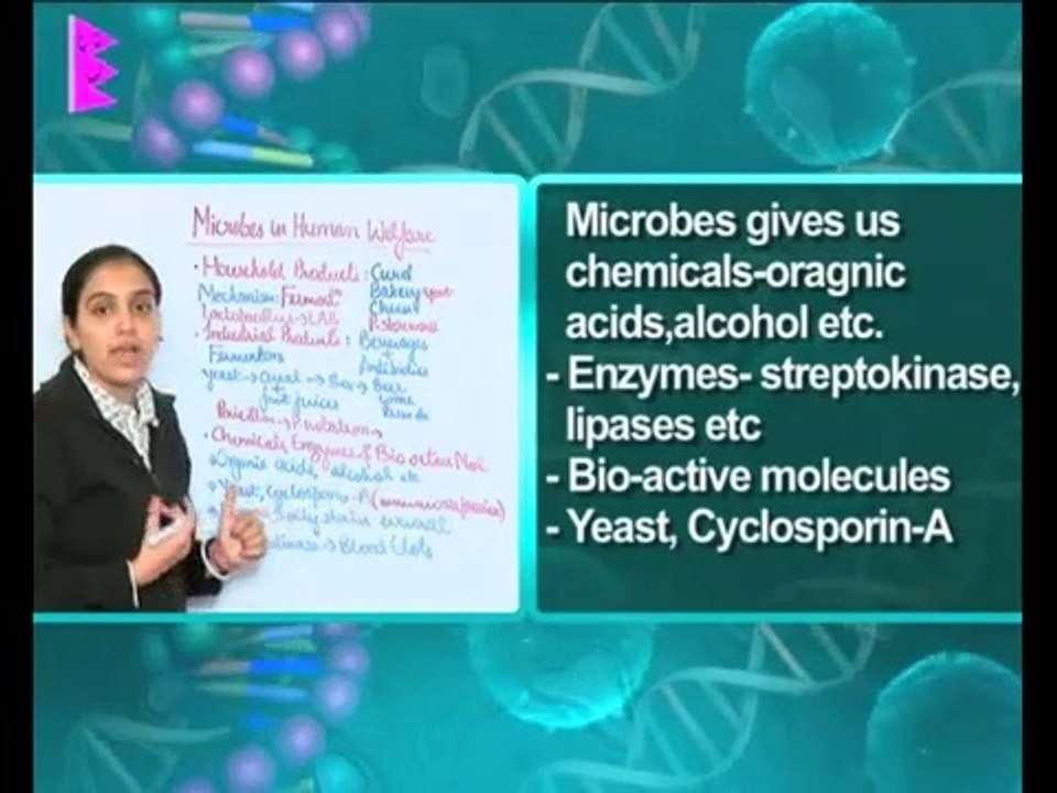Microbes in human welfare