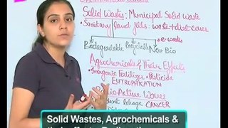 What is solid waste