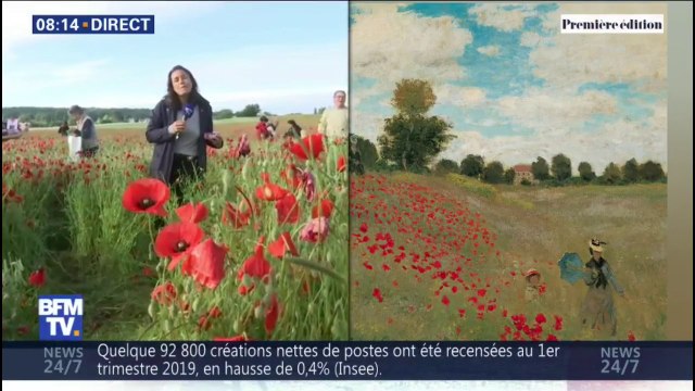 Ces cueilleurs de coquelicots en font... des bonbons