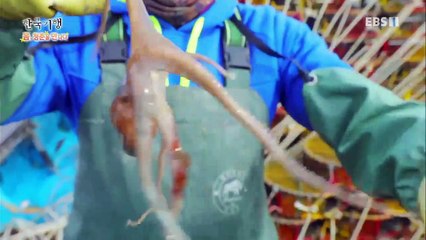 한국기행 - Korea travel_봄, 청춘을 만나다 3부- 내 인생은 나의 것_#001