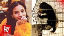 Singer with a sunbear pleads not guilty