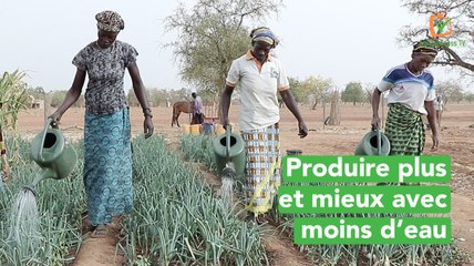 Burkina Faso: Produire plus et mieux avec moins d’eau