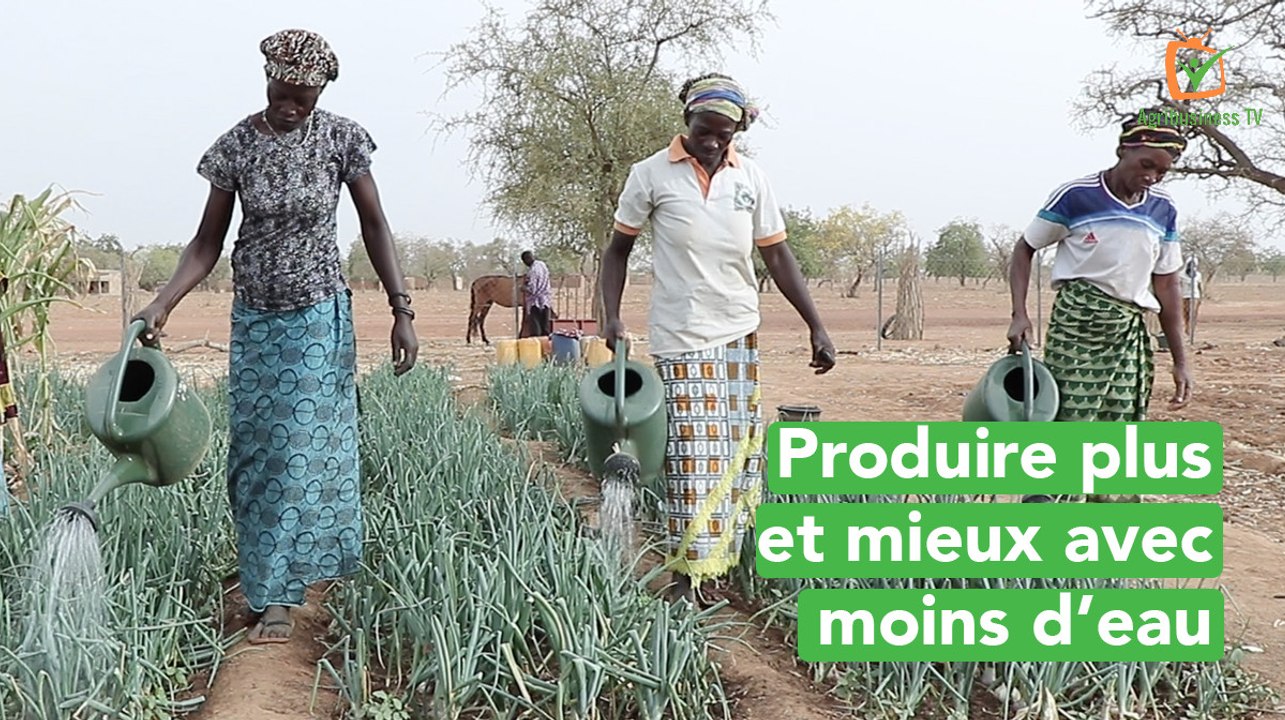 Burkina Faso: Produire plus et mieux avec moins d’eau