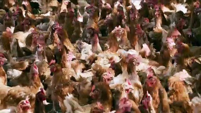 Roxane Bande-annonce