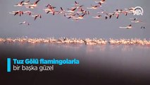 Tuz Gölü flamingolarla bir başka güzel