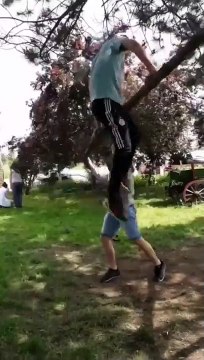 Perché sur un arbre, ce jeune homme se tape la honte de sa vie