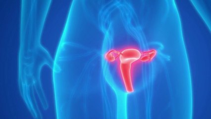 Santé - Greffe d’utérus : une première en France