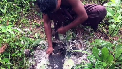 Find Water Duck N Cook For Dinner