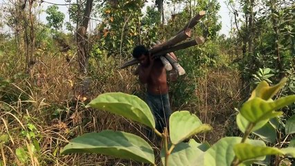 Unbelievable! Build Fish Pond Around Secret To Avoid Wildlife House & Roofing Secret House