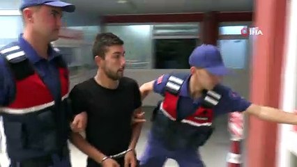 Ormanlık alana kenevir eken şahıs adliyeye sevk edildi