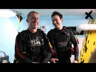 Don't Bore Us x Yellowcard Shark Diving