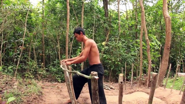 Build Crocodile Pond and Feeding Wild Crocodile