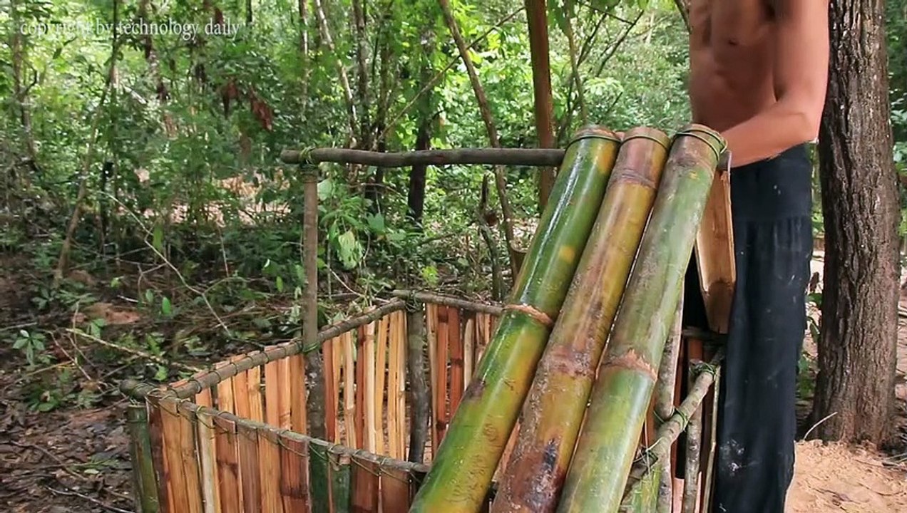 Build Mini Swimming Pool For Dogs And Build Bamboo Dogs House