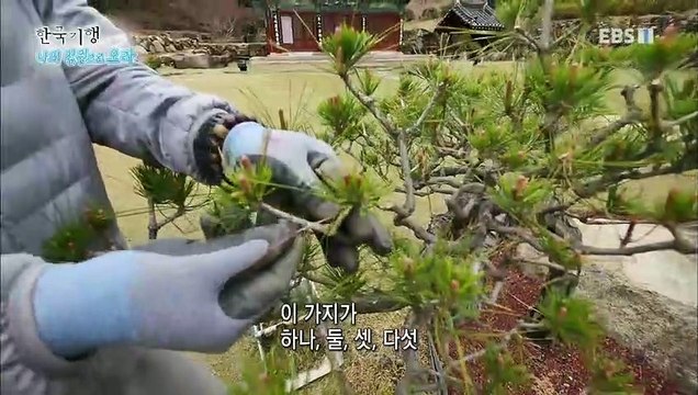 한국기행 - Korea travel_나의 정원으로 오라 2부- 스님의 뜰_#001