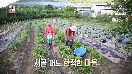 [예고] 국수 한 그릇에 40년 내공을 담았다! 더위를 한방에 날릴 메밀국수 갑부 등장!