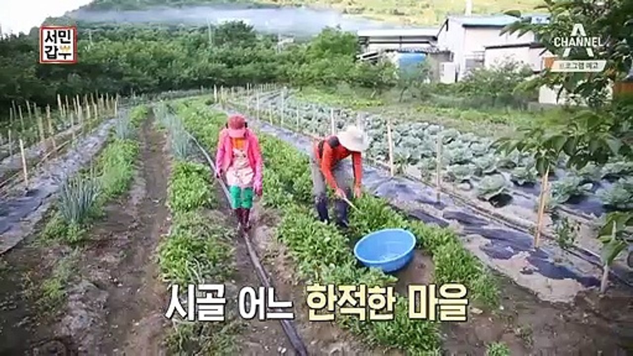 [예고] 국수 한 그릇에 40년 내공을 담았다! 더위를 한방에 날릴 메밀국수 갑부 등장!