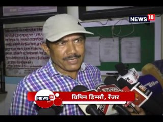 बाघ के हमले में युवक गंभीर रूप से घायल, हायर सेंटर रेफर