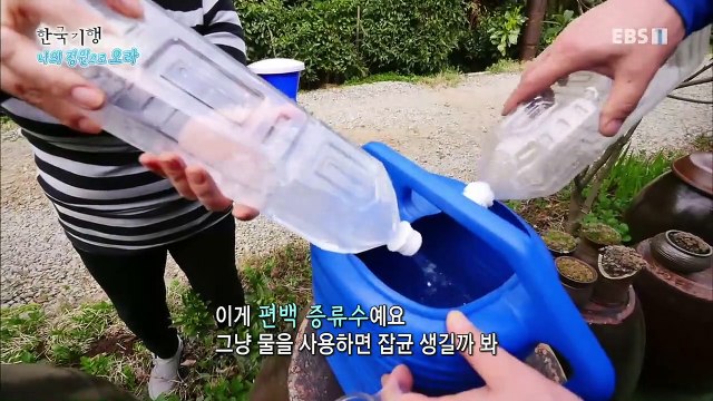 한국기행 - Korea travel_나의 정원으로 오라 4부- 편백나무 숲길 따라_#002