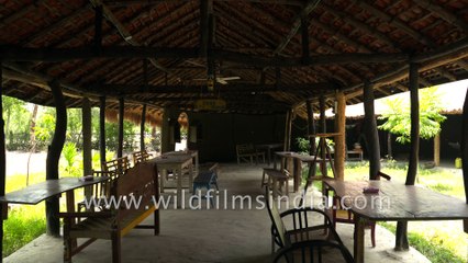 Tour of the Backpackers' Eco-Village in Satjelia Eco-Village of Sundarbans, West Bengal