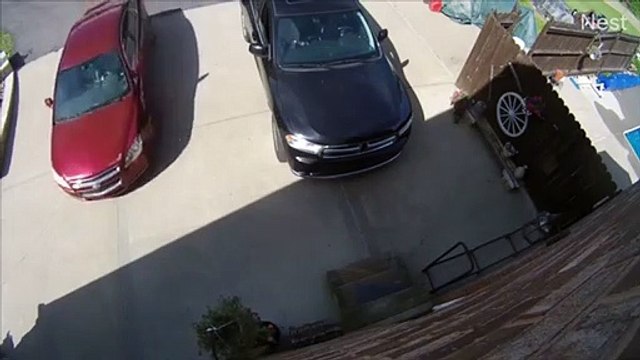 Papá reflejos y el drama de una sombrilla voladora