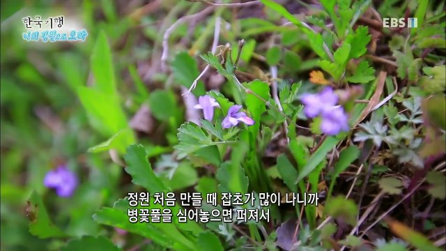 한국기행 - Korea travel_나의 정원으로 오라 5부- 내 인생의 모든 것_#002