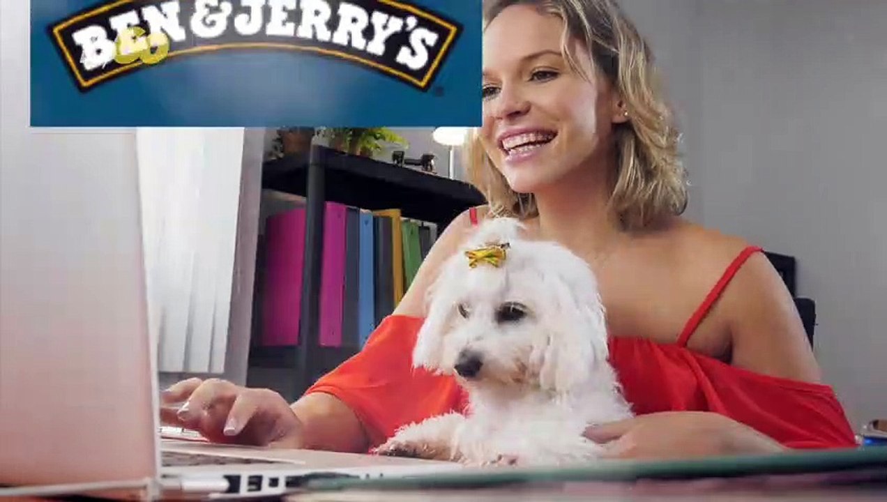 Top Pet-Friendly Companies Where It's Always Take Your Dog To Work Day