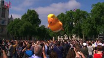 ‘Baby Trump’ Balloon May 'Attend' President Trump's July 4th Address