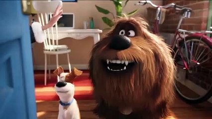 A Vida Secreta dos Nossos Bichos 2 Filme - Panda Rap