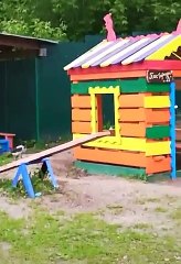 Crow makes his own entertainment